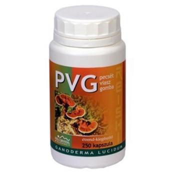 PVG Ganoderma kapszula, 250db kép