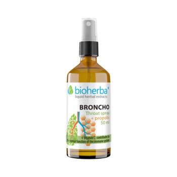 Bioherba Broncho torokspray propolisszal – 50 ml kép