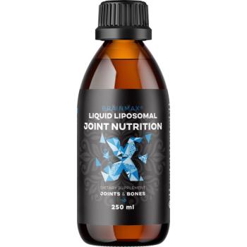 BrainMax Liposomal Joint táplálás, Acti-Joint® 250 ml