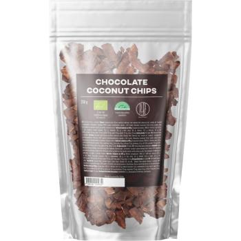 BrainMax Pure® Chocolate Coconut chips, Kókuszchips csokoládéban, BIO, 250 g kép