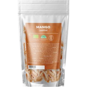 BrainMax Pure® Lyophilized Mango, fagyasztva szárított mangó, BIO, 45 g kép