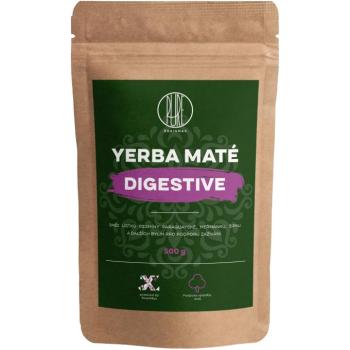 BrainMax Pure® Yerba Maté, Digestive, 500g