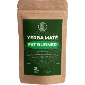 BrainMax Pure® Yerba Mate - Zsírégető, 500 g kép