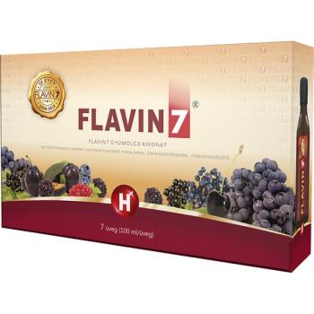 Flavin7 Ital 7x100ml = 700ml kép