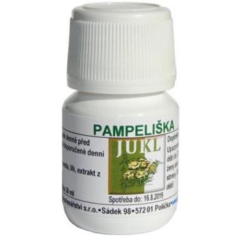 Jukl Gyermekláncfű tinktúra (D3), 30 ml kép