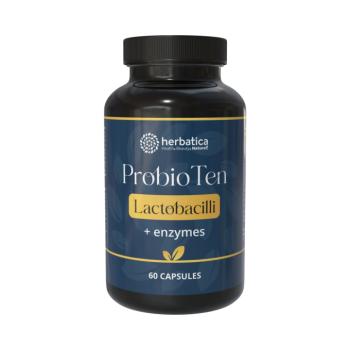 ProBio 10 laktobacillus törzs és enzimek – 60 kapszula – Herbatica kép