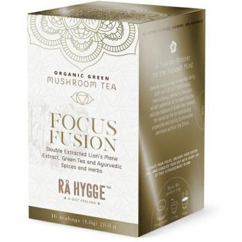 Ra Hygge BIO Focus Fusion zöld tea Lion´s mane-nel, 16 darab kép