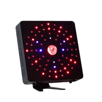 Redlight.doctor REDelios One kép