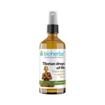 Tibeti propoliszos torokspray – 50 ml – Bioherba kép