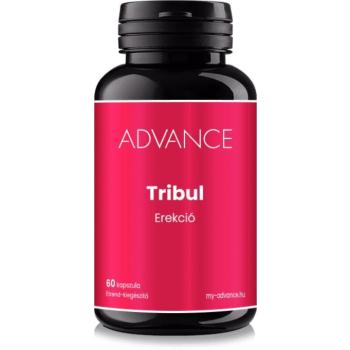 ADVANCE Tribul 60 kapszula – erekció kép