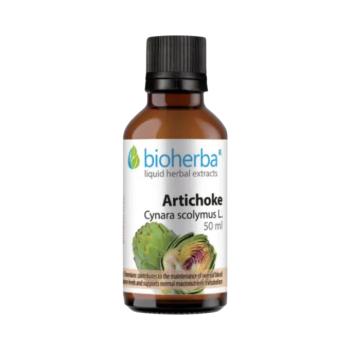 Articsóka (Cynara scolymus L.) cseppek – tinktúra – 50 ml – Bioherba kép