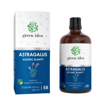 Astragalus – alkoholmentes tinktúra 100 ml – Green idea kép
