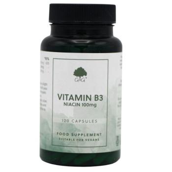 B3-vitamin (niacin) 100mg 120 kapszula – G&G kép
