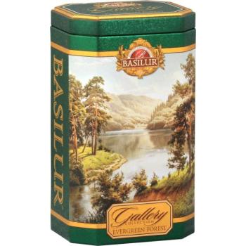 Basilur Gallery Evergreen Forest 100 g kép