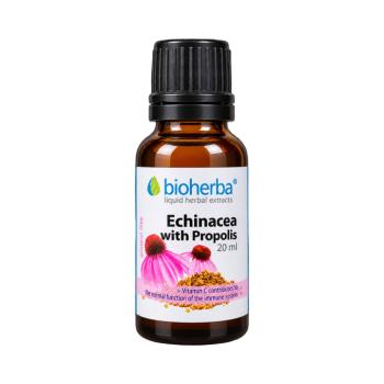 Bíbor kasvirág cseppek propolisszal – tinktúra – 20 ml – Bioherba kép
