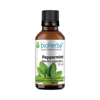 Bioherba Borsmenta tinktúra cseppek, 50 ml kép