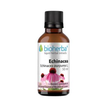 Bioherba Echinacea cseppek – tinktúra – 50 ml kép