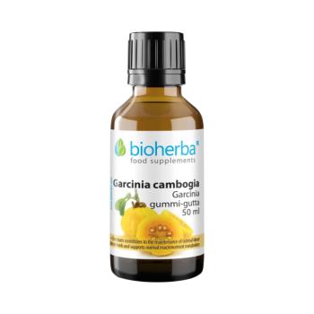Bioherba Garcinia Cambogia tinktúra cseppek krómmal – 50 ml kép