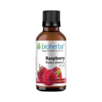 Bioherba Málna tinktúra cseppek 50 ml kép