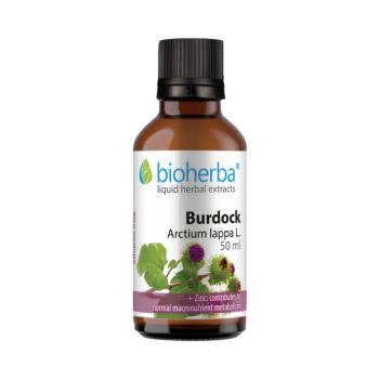 Bioherba nagy bojtorján tinktúra cseppek – 50 ml