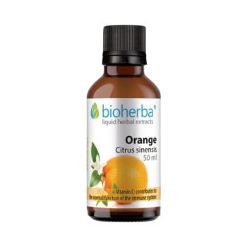 Bioherba Narancs tinktúra cseppek – 50 ml kép