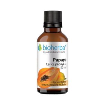 Bioherba Papája tinktúra cseppek – 50 ml