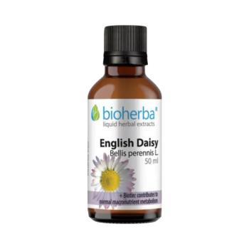 Bioherba Százszorszép tinktúra cseppek – 50 ml kép