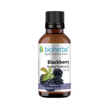 Bioherba Szeder tinktúra cseppek - 50 ml kép