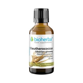 Bioherba szibériai ginzeng cseppek – tinktúra – 50 ml kép