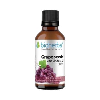 Bioherba Szőlőmag tinktúra cseppek – 50 ml