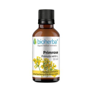 Bioherba tavaszi kankalin (Primula veris) cseppek – tinktúra – 50 ml kép