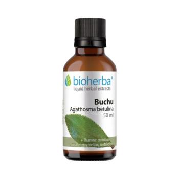 Buchu tinktúra cseppek B1-vitaminnal – 50 ml – Bioherba kép