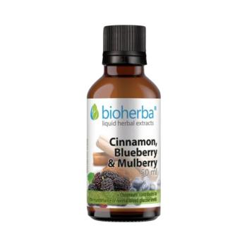 Ceyloni fahéj, áfonya és fekete eperfa cseppek – tinktúra – 50 ml – Bioherba kép