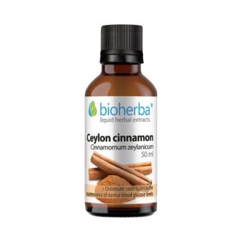 Ceyloni fahéj tinktúra cseppek - 50 ml - Bioherba kép