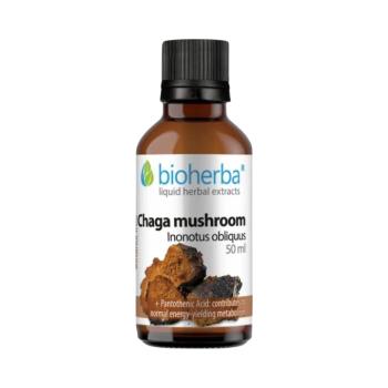 Chaga tinktúra cseppek – 50 ml – Bioherba kép