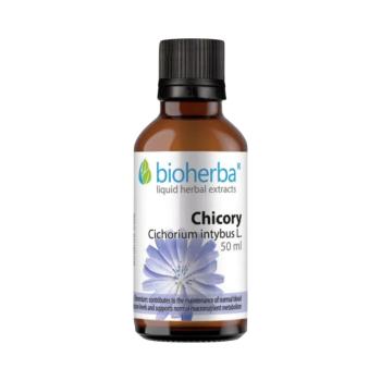 Cikória (kávécikória) tinktúra cseppek – 50 ml – Bioherba kép