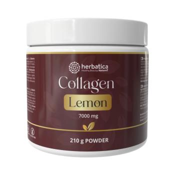 Citromos kollagén por – 210 g - Herbatica kép