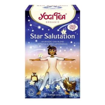 Csillagüdvözlet bio tea - Yogi Tea kép