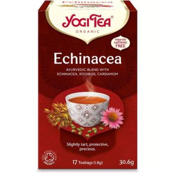 Echinacea bio tea - Yogi Tea kép