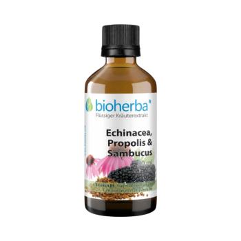 Echinacea, propolisz és fekete bodza – tinktúra – 50 ml – Bioherba kép
