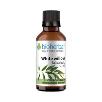 Fehér fűz tinktúra cseppek – 50 ml – Bioherba