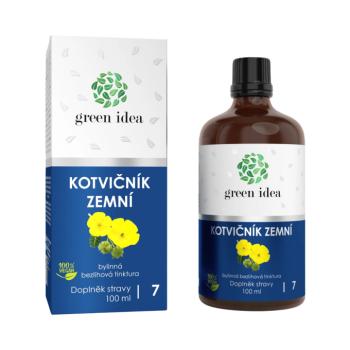 Földi királydinnye alkoholmentes tinktúra 100 ml - Green idea kép