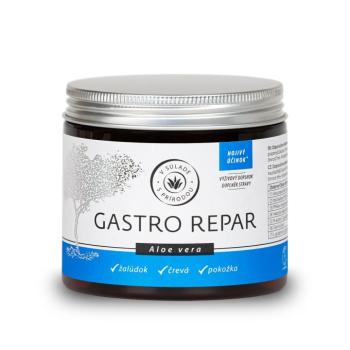 Gastro repar kép