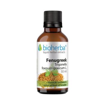 Görögszéna tinktúra cseppek - 50 ml - Bioherba kép