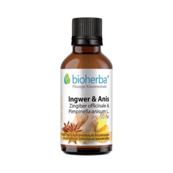 Gyömbér és ánizs cseppek – tinktúra – 50 ml – Bioherba kép