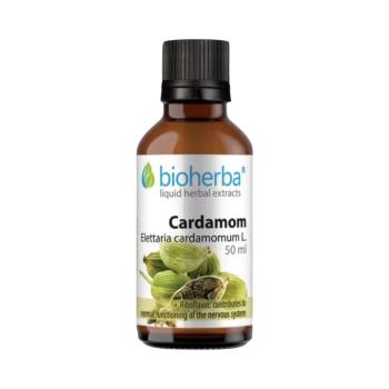 Kardamom tinktúra cseppek - 50 ml - Bioherba
