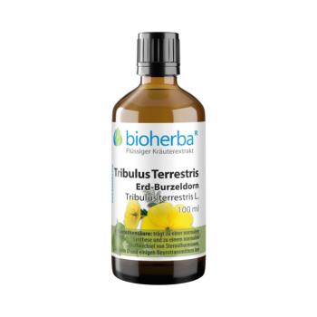 Királydinnye cseppek – tinktúra – 100 ml – Bioherba kép