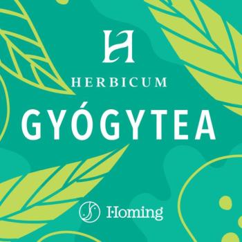 Közönséges galaj 1000g kép
