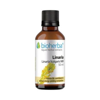 Közönséges gyújtoványfű tinktúra cseppek, 50 ml - Bioherba kép