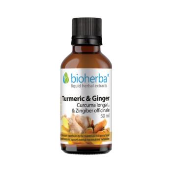 Kurkuma és gyömbér cseppek – tinktúra – 50 ml – Bioherba kép